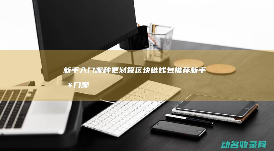 新手入门 哪种更划算 区块链钱包推荐 (新手入门哪种文玩手串)